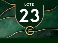 Lote 23