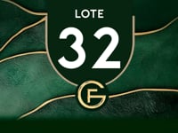 Lote 32
