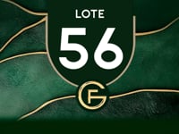 Lote 56