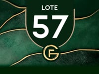 Lote 57
