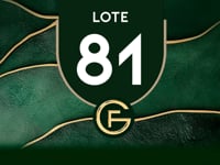 Lote 81
