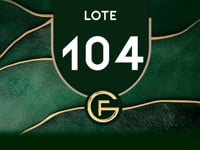 Lote 104