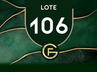 Lote 106