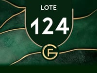 Lote 124