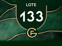 Lote 133