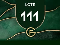 Lote 111