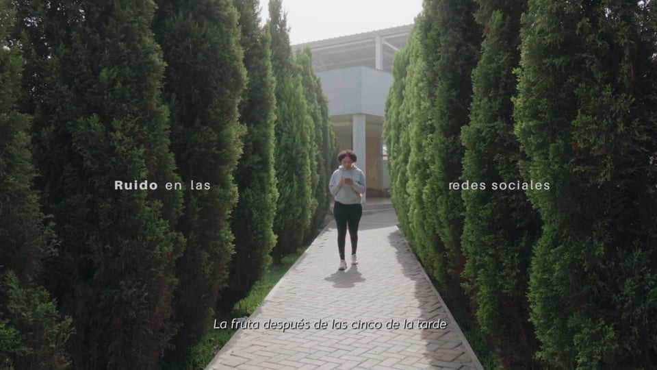 “De la grieta a la cima”