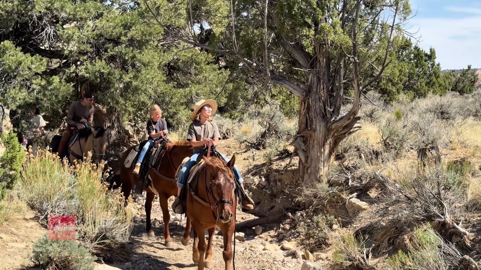 Discover Bryce Canyon: Awe-Inspiring Adventures in Utah’s Red Rock Wonderland