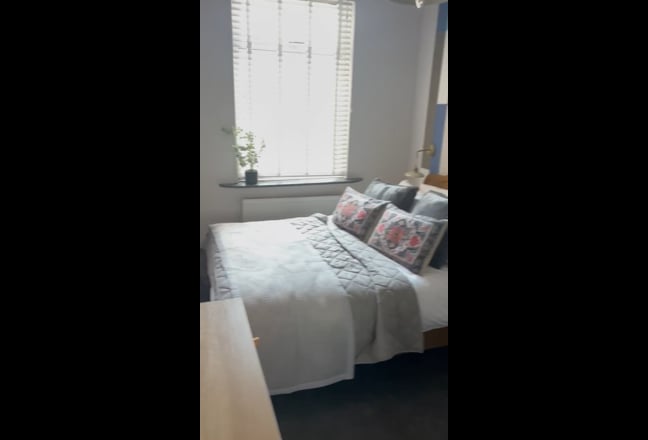 Video 1: