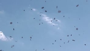 Related Embedded Video Item Thumbnail