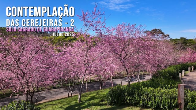Capa do vídeo “Contemplação das Cerejeiras 2 - Solo Sagrado de Guarapiranga | Julho / 2025”