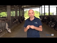 “Con BOVILIS Cryptium® se reduce de forma significativa la mortalidad por diarrea y la incidencia de la criptosporidiosis”