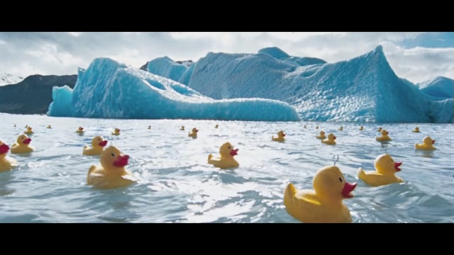 March Of The Ducks / Charlie Crane