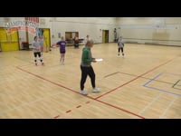 Preview Video #2