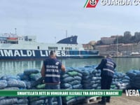 Martinsicuro - Commercio illegale di vongole tra Marche ed Abruzzo