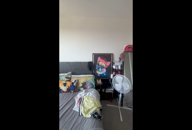 Video 1: