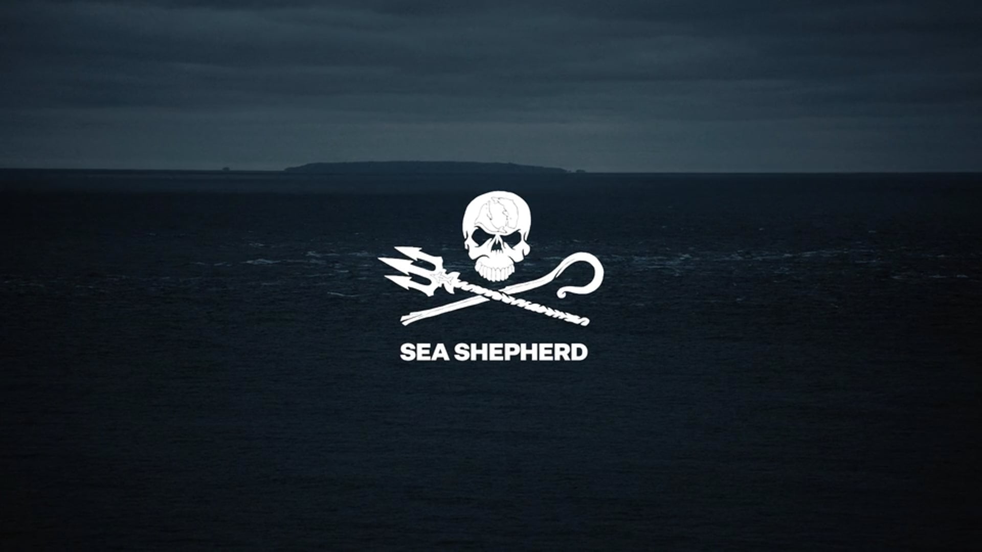 SEA SHEPHERD - Plastic Free July