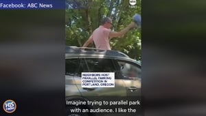 This Neighborhood Competes In Parallel Parking