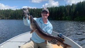 BF_Chris Pridnia_July 2025 Market Update