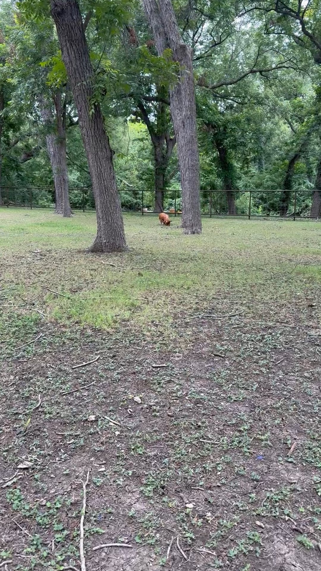 https://i.vimeocdn.com/video/2038349290-b5a378b8c5b4b3408959ac7a5a31268e32a909386a1303df396c2571fa1e7998-d