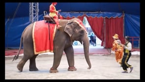 Related Embedded Video Item Thumbnail