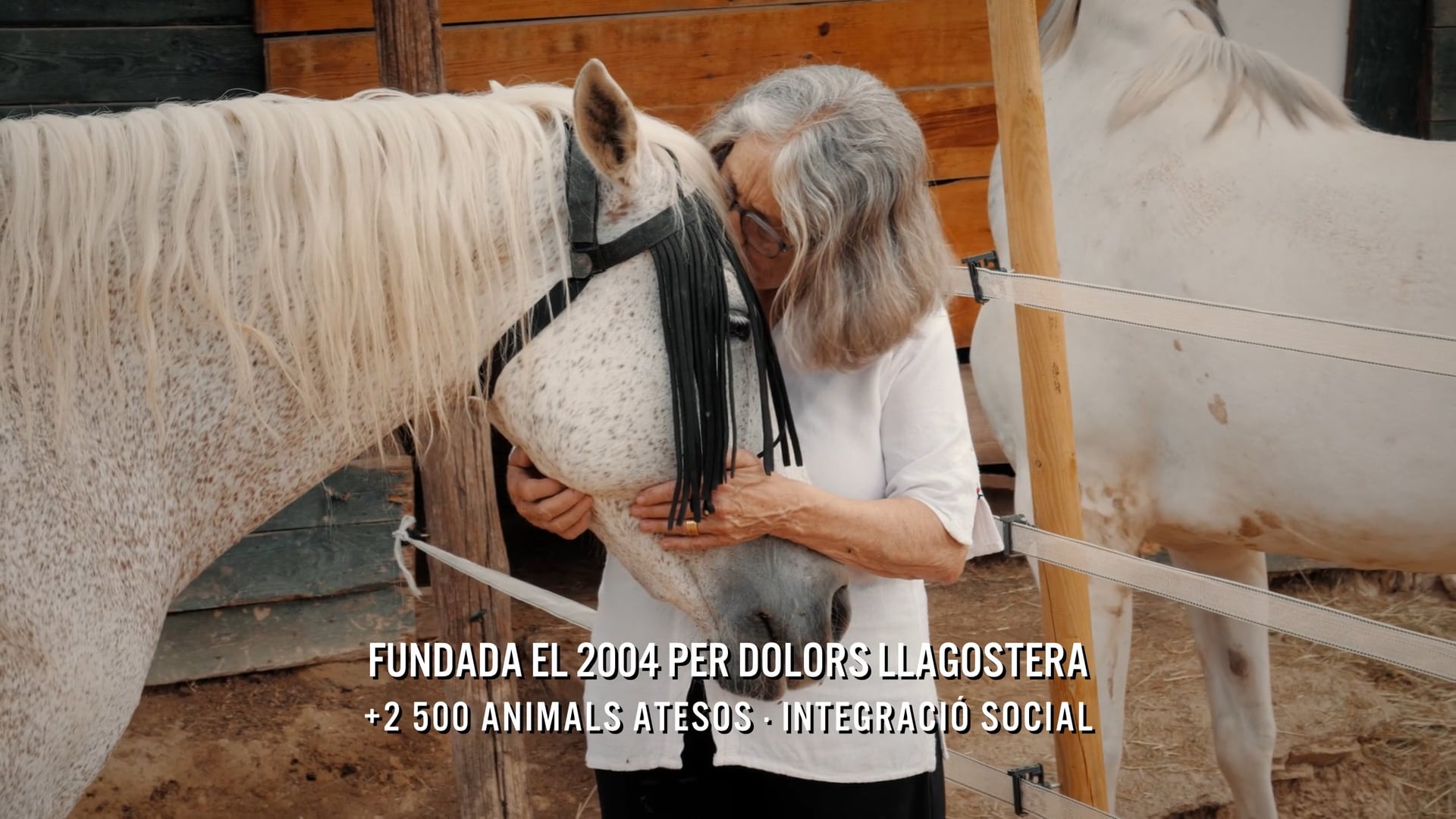 Amor als Animals – Cada vida compta