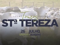 VT COMERCIAL
