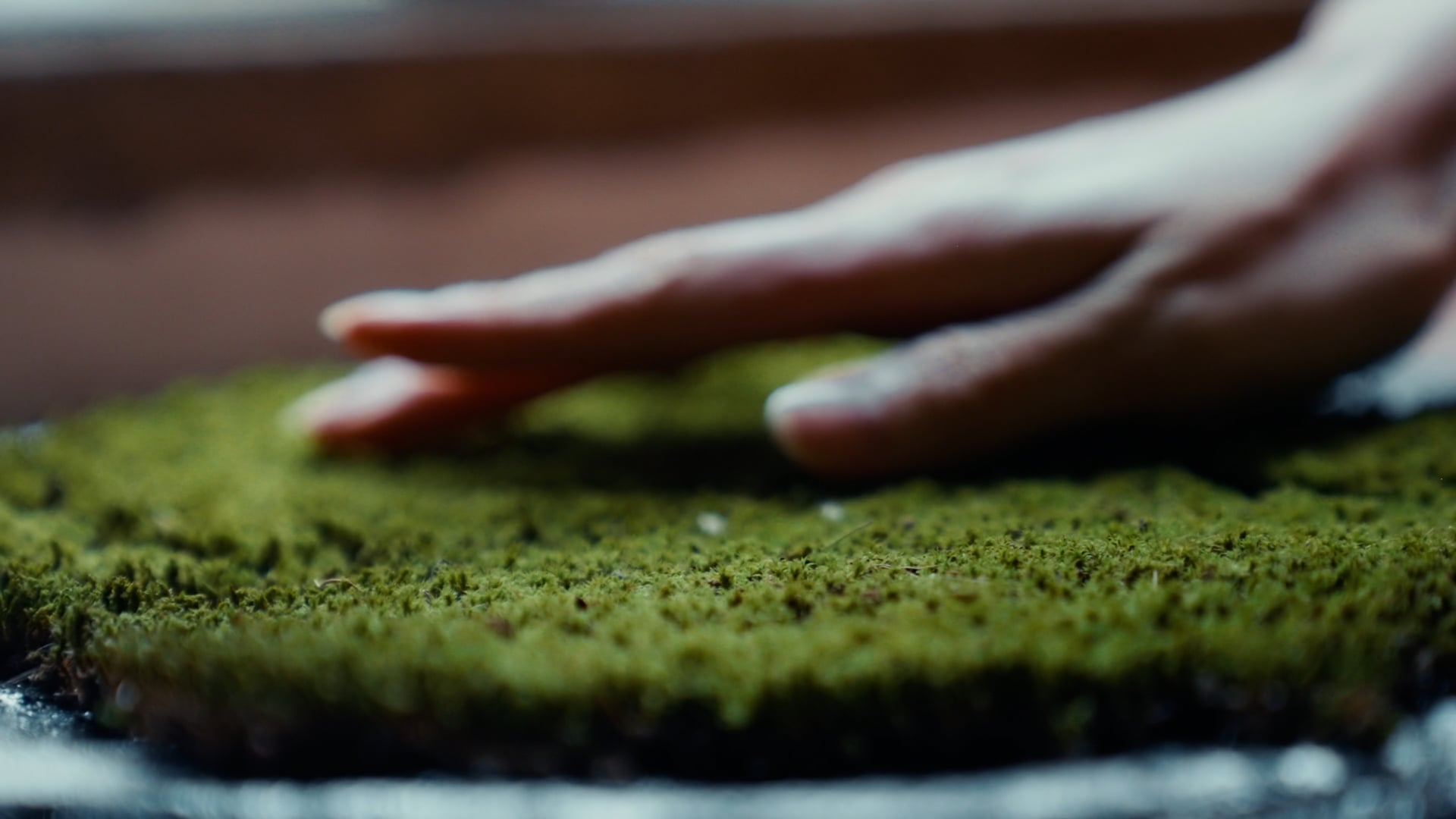 Sejong Center - Oita