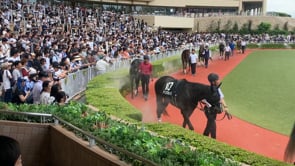 動画サムネイル