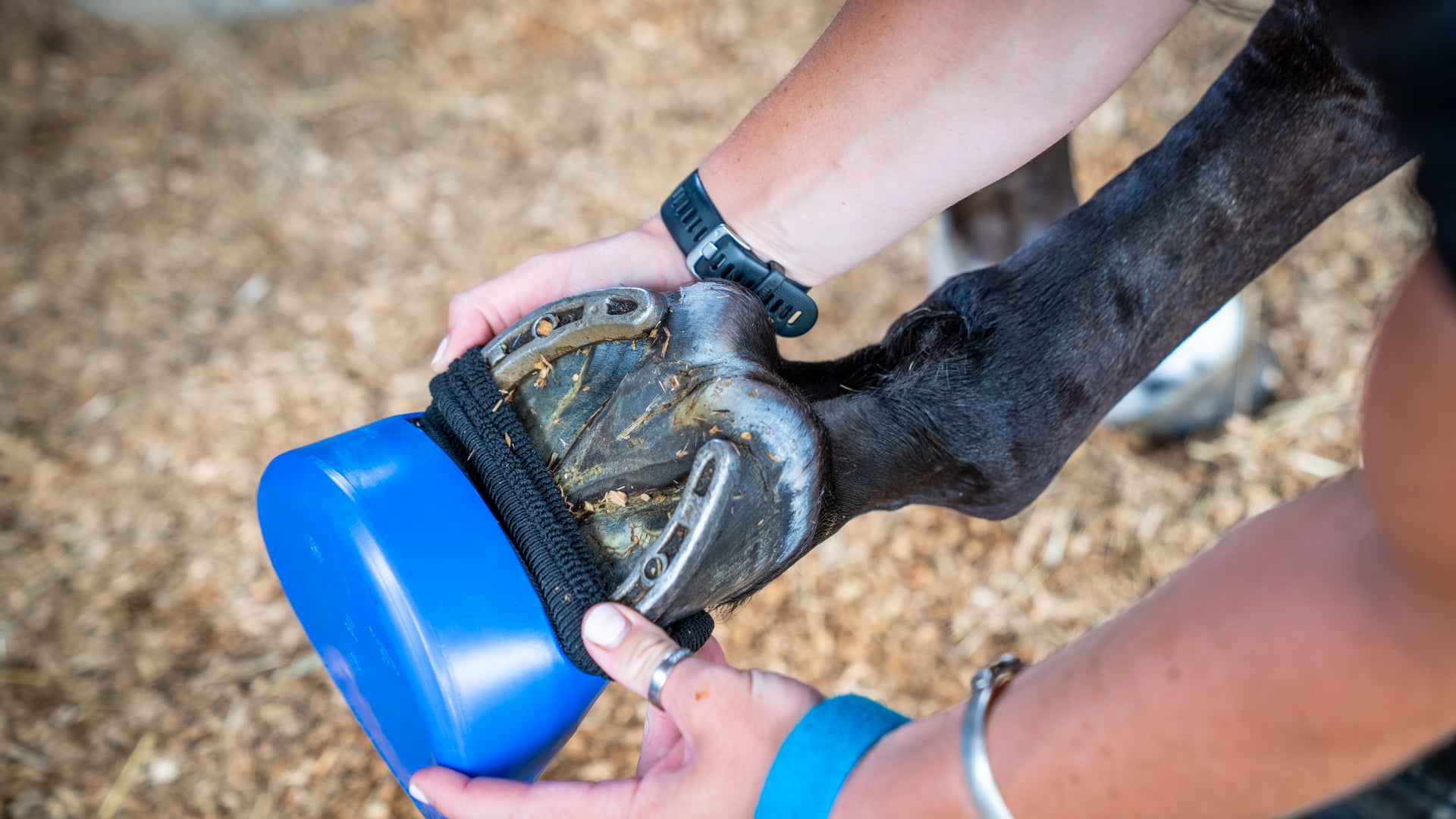 Tubbease: The Ultimate Hoof Treatment Aid