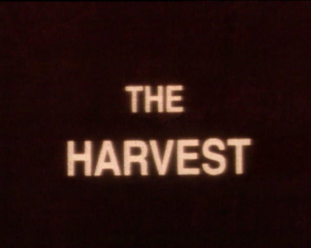 Thumbnail for The Harvest