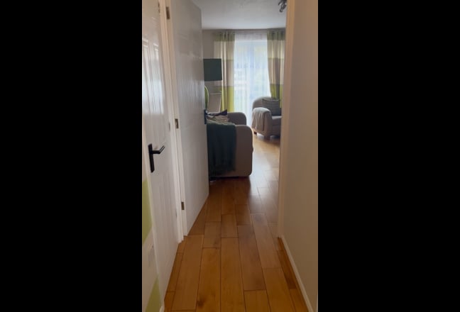 Video 1: