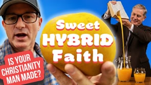 Related Embedded Video Item Thumbnail