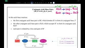 صورة الدرس: Conjugate Acid–Base Pairs