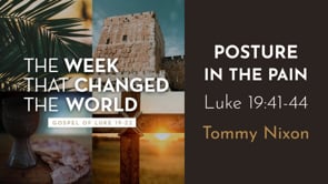 "Posture in the Pain" Luke 19:41-44