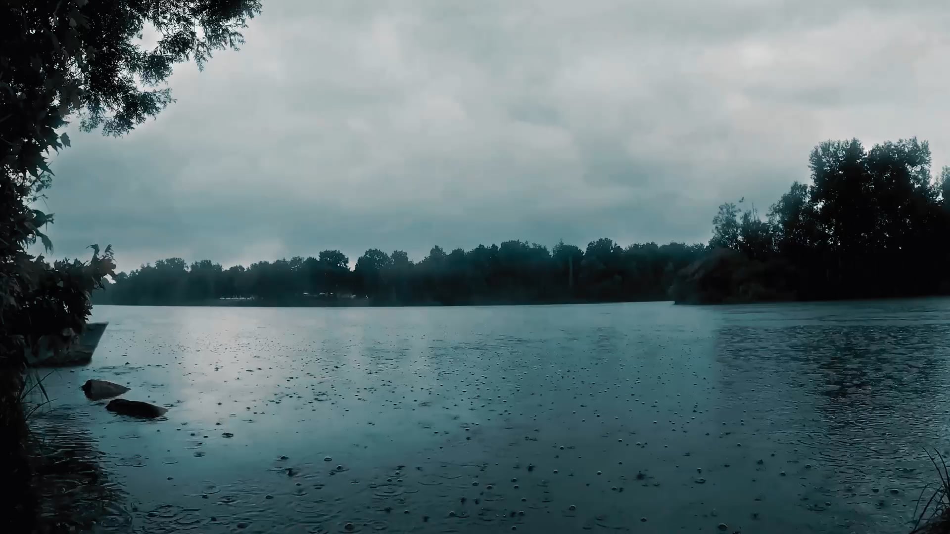 https://i.vimeocdn.com/video/2038885968-8f547b80a3cf0175e53faad6f9f153501e0562537bbf7d1ed7cb983aebaf6408-d