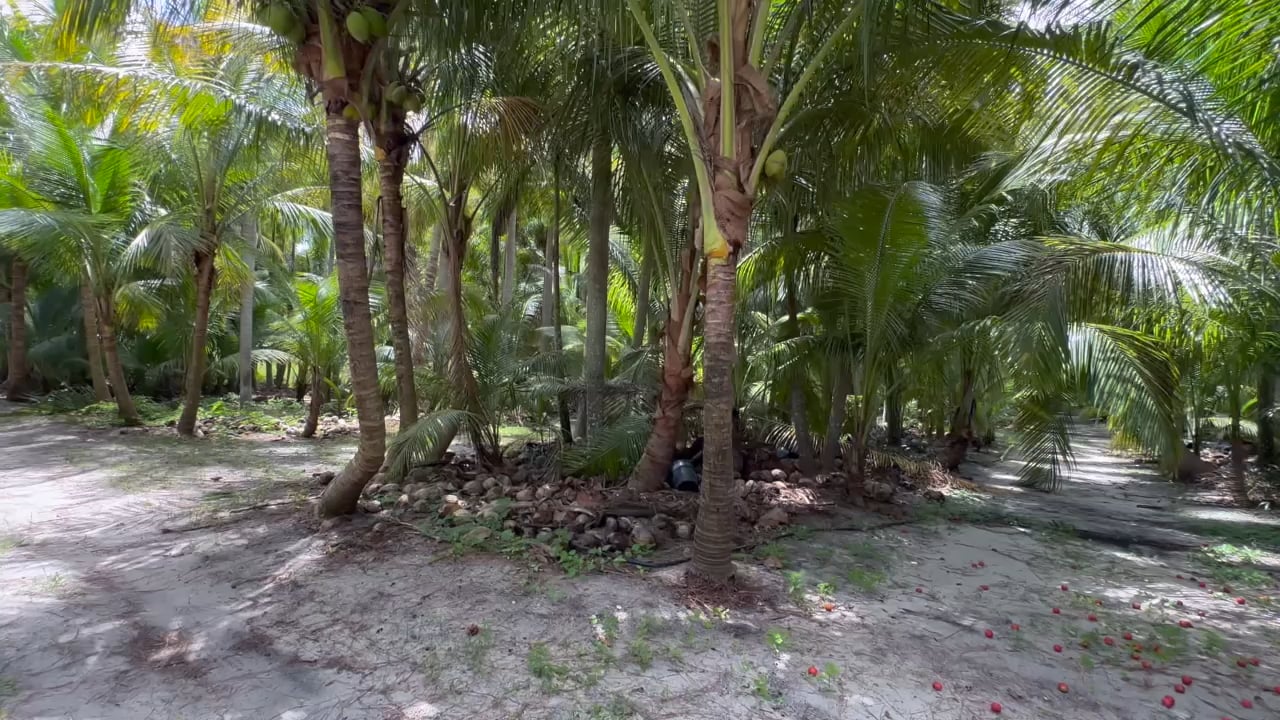 https://i.vimeocdn.com/video/2038899001-f09f44cd40929359a29b261a9a46a17dbe5f88704002892cc1d788e424563952-d