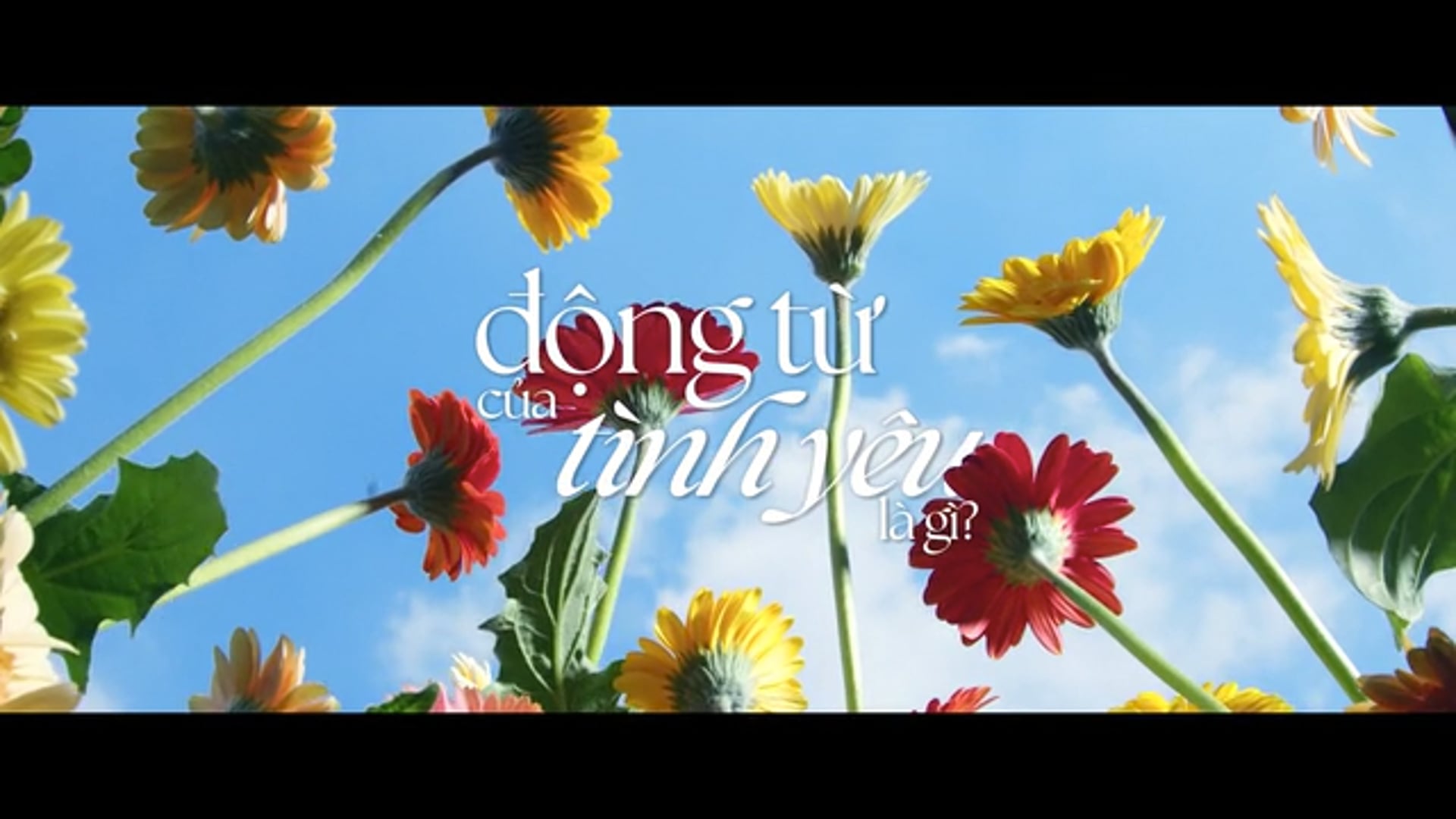 MANULIFE INVESTMENT MANAGEMENT VIETNAM TVC