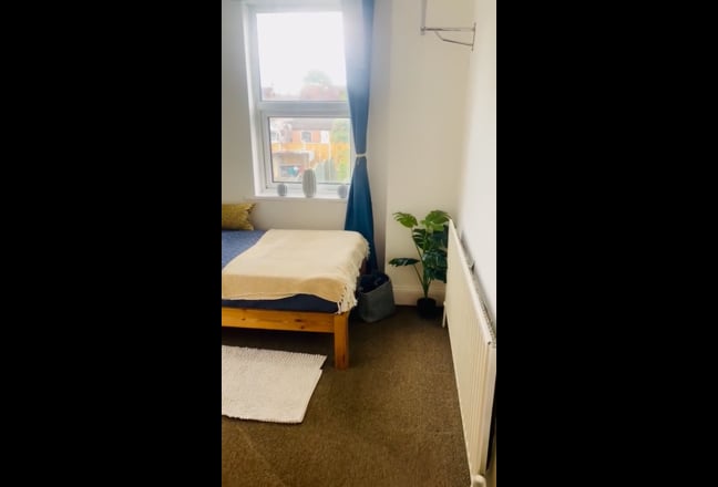 Newly decorated single room Main Photo