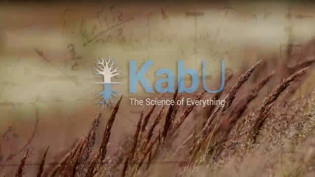 Jul 20, 2025 – Lesson #4 – The Rav, The Group & The Books Cont