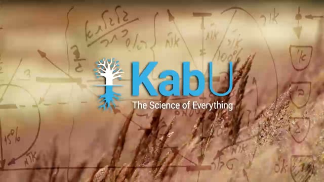 Jul 20, 2025 – Israel, the Light & the Creator and the Workshop as a Tool for Connection
