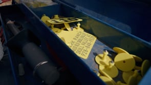 Related Embedded Video Item Thumbnail
