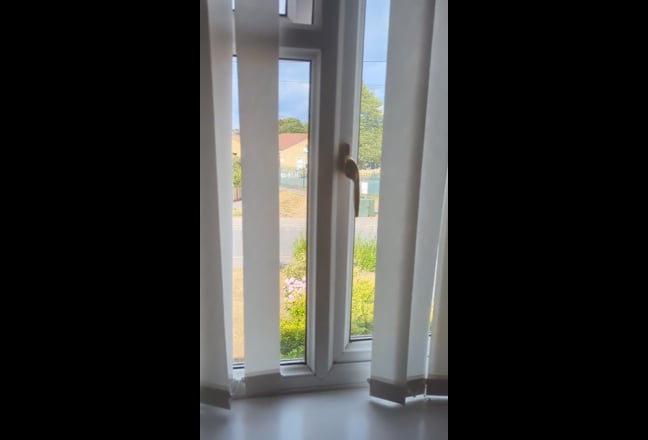 Video 1: