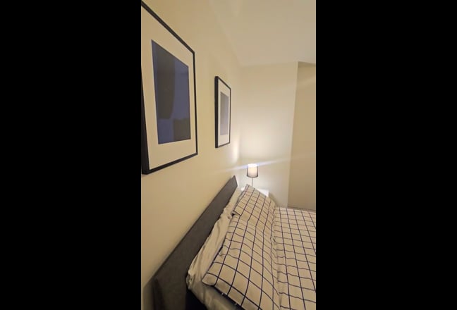 Video 1:
