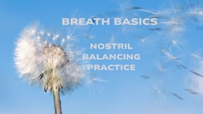 NOSTRIL BALANCING BREATH