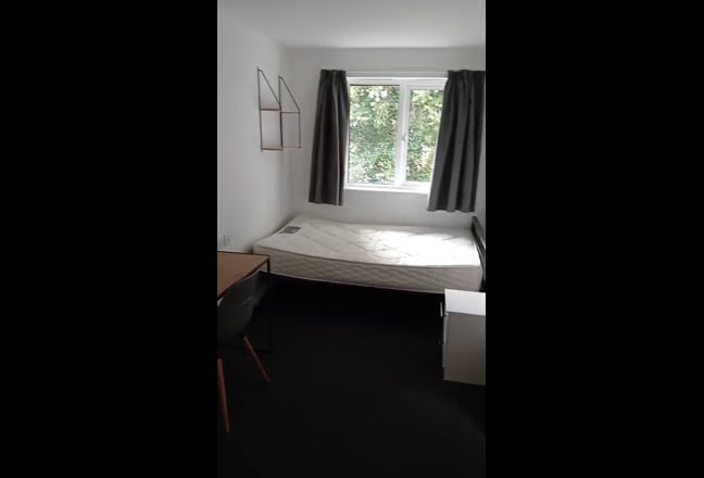 Video 1: