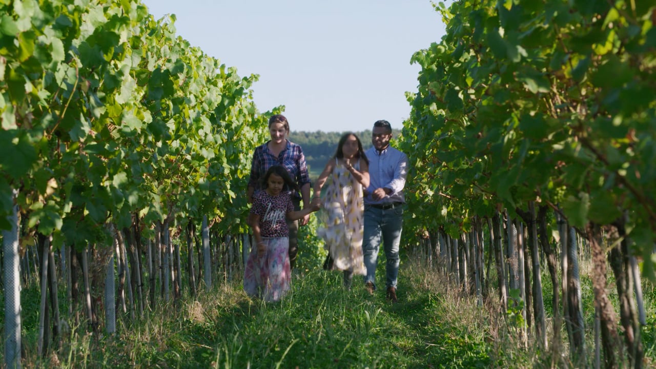 Minerva Wine