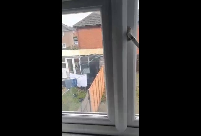 Video 1: