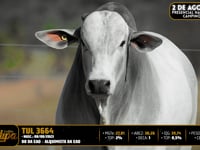 Lote 30