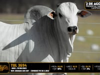 Lote 34